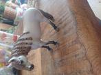Schleich paard merrie, Verzamelen, Dierenverzamelingen, Ophalen of Verzenden, Zo goed als nieuw, Paard, Beeldje of Figuurtje