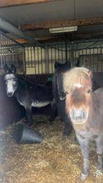 Verzorgers gezocht!, Ophalen of Verzenden