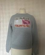 Tommy Hilfiger Trui, Maat 38/40 (M), Ophalen of Verzenden, Grijs, Gedragen