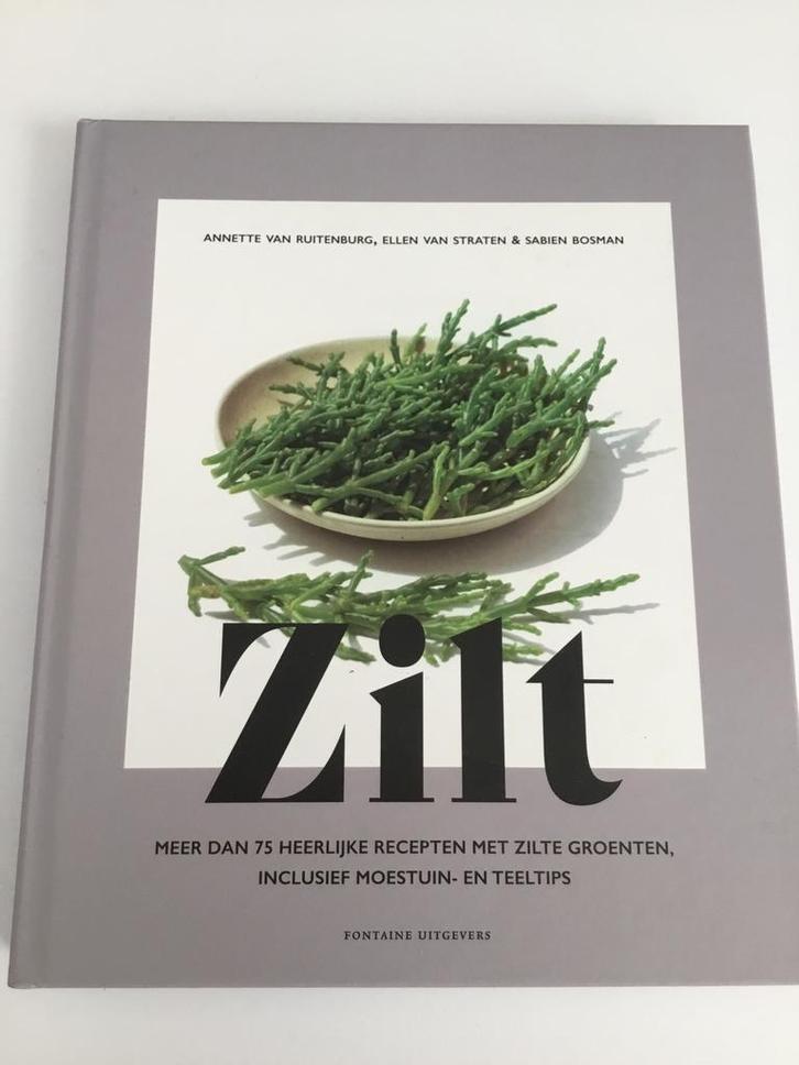 Ellen van Straten - Zilt, Boeken, Kookboeken, Zo goed als nieuw, Ophalen of Verzenden