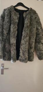 Jas, Kleding | Dames, Ophalen of Verzenden, Zo goed als nieuw, Zwart
