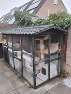 Kattenren/kippenhok, Dieren en Toebehoren, Vogels | Hokken en Kooien, Ophalen of Verzenden, Gebruikt, Hout, Overige typen