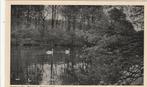 ootmarsum- springendal met zwanen, Ophalen of Verzenden, 1940 tot 1960, Zuid-Holland