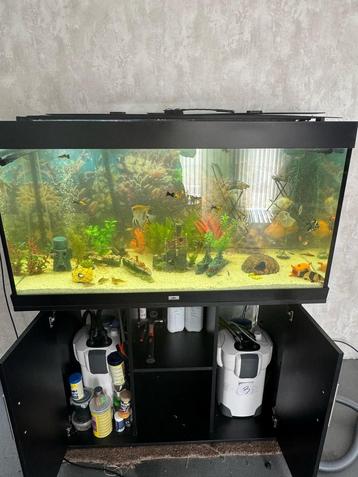 Aquarium jewel 300/350 moet weg! beschikbaar voor biedingen