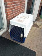 Honden transport box/ koffer, Dieren en Toebehoren, Ophalen, Gebruikt