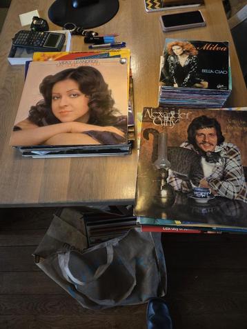 Langspeelplaten en singeltjes beschikbaar voor biedingen