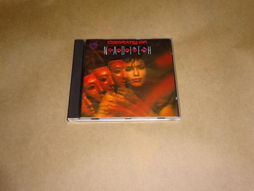 CD Nadieh Company Of Fools, Cd's en Dvd's, Cd's | Pop, Zo goed als nieuw, Ophalen of Verzenden