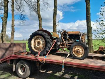 Gezocht Tractor International Cormick Case IHC Mf Fendt Fiat beschikbaar voor biedingen