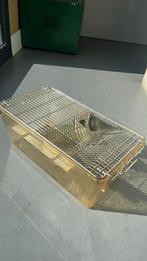 Klein reiskooi/transporthok + 1 zak gratis hooi, Minder dan 60 cm, Gebruikt, Minder dan 75 cm, Ophalen of Verzenden