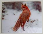 Kaart met 3D effect: vos in de sneeuw, Verzamelen, Ansichtkaarten | Dieren, Ophalen of Verzenden, 1980 tot heden, Ongelopen, Wild dier