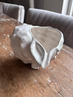 Oude Bloempot schelp, Ophalen of Verzenden, Zo goed als nieuw, Rond, Minder dan 25 cm