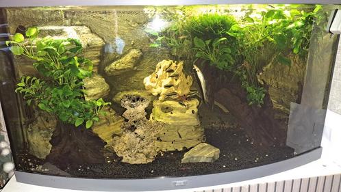 Aquarium, Dieren en Toebehoren, Vissen | Aquaria en Toebehoren, Zo goed als nieuw, Gevuld zoetwateraquarium, Ophalen