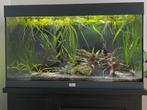 Aquatlantis aquarium 80 cm., Dieren en Toebehoren, Vissen | Aquaria en Toebehoren, Ophalen, Zo goed als nieuw, Leeg aquarium