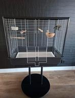 Prachtige vogelkooi, Dieren en Toebehoren, Ophalen, Zo goed als nieuw, Metaal, Vogelkooi