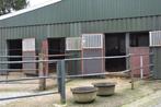 Uitloopstallen vrij voor ouder paard, Dieren en Toebehoren, Stalling en Weidegang, Stalling, 1 paard of pony