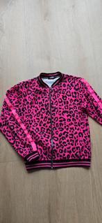 Vestje roze maat 164, Kinderen en Baby's, Kinderkleding | Maat 164, Europe Kids, Meisje, Trui of Vest, Ophalen of Verzenden