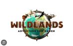 4 tickets te koop, Tickets en Kaartjes, Drie personen of meer