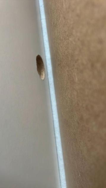 IKEA Pax Kast Basiselement Wit - 2 stuks van 100x60x236 cm - afbeelding 6