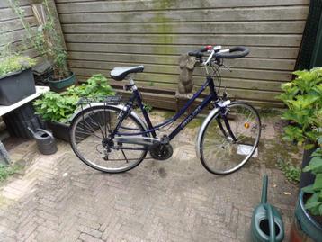 Giant Freerider damesfiets met patina beschikbaar voor biedingen