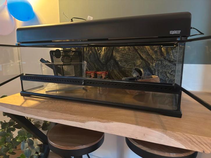 Terrarium met toebehoren, Dieren en Toebehoren, Reptielen en Amfibieën | Toebehoren, Gebruikt, Terrarium of Paludarium, Ophalen
