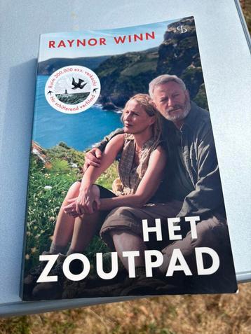 Het zoutpad beschikbaar voor biedingen