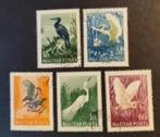 Hongarije 210926 vogel, Verzenden, Gestempeld