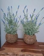Kunstplanten lavendel nieuw, Huis en Inrichting, Ophalen, Zo goed als nieuw