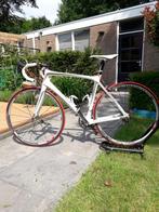 Trek Madone 5.2, 28 inch, Gebruikt, Carbon, 49 tot 53 cm