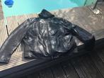 Harley Davidson jack met armloze hoody maat XL, Dames, Jas | leer, Harley Davidson, Ophalen of Verzenden