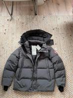 Canada Gooss Macmillan Grijs Maat L, Ophalen of Verzenden, Zo goed als nieuw, Grijs