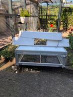 2 spoetniks te koop !! Duiven / postduiven / spoetnik, Meerdere dieren, Postduif