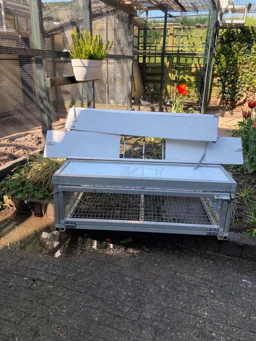 2 spoetniks te koop !! Duiven / postduiven / spoetnik, Dieren en Toebehoren, Vogels | Duiven, Postduif, Meerdere dieren