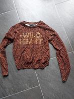Donkerbruin shirt maat 152/158, Kinderen en Baby's, Kinderkleding | Maat 152, Gebruikt, Meisje, D-Zine, Ophalen of Verzenden