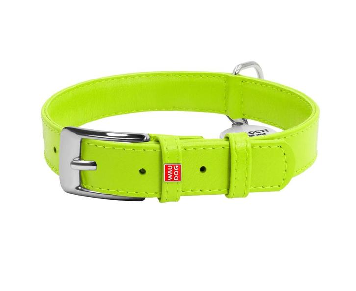 WAUDOG Glamour Halsband Leder Groen M Nek 30-39 cm KOOPJE!!!, Dieren en Toebehoren, Hondenhalsbanden en Penningen, Nieuw, Handgemaakt