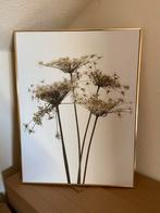 Mooie print met bloemen in gouden lijst, Minder dan 50 cm, Ophalen of Verzenden, Oorspronkelijke maker, 50 tot 75 cm