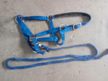 Zgan blauw halster met touw maat cob beschikbaar voor biedingen