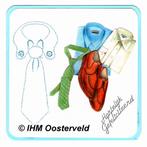 3D Kaart Verjaardag 6  Overhemden, Hobby en Vrije tijd, Kaarten | Zelfgemaakt, Ophalen of Verzenden, Nieuw, Overige thema's