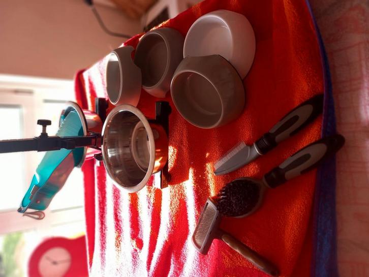 De basis., Dieren en Toebehoren, Hondenvoerbakken en Drinkbakken, Gebruikt, Ophalen