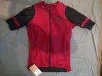 Etxeondo Mendi Jersey M & Ohri Bibshort S set - Maroon/Black, Ophalen of Verzenden, Nieuw, Kleding