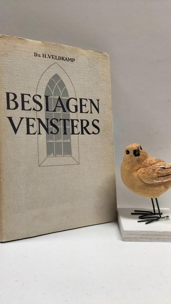 Veldkamp, Ds. H.; Beslagen vensters, Boeken, Ophalen of Verzenden, Gelezen, Christendom | Protestants