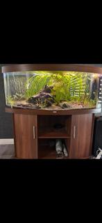 Juwel aquarium 450 MOET WEG, Dieren en Toebehoren, Vissen | Aquaria en Toebehoren, Ophalen of Verzenden, Gebruikt, Leeg aquarium