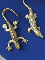 Koperen Reptielen, Dieren en Toebehoren, Reptielen en Amfibieën, 0 tot 2 jaar