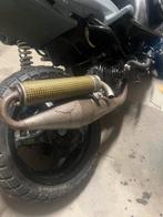 Yasuni terugloop uitlaat minarelli horizontaal, Ophalen of Verzenden