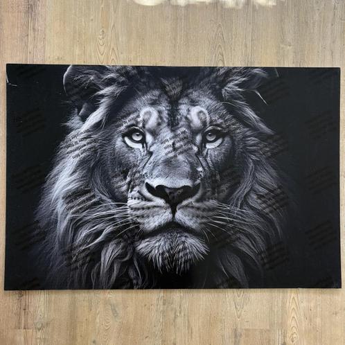 Plexiglas schilderij leeuw zwart wit 120x80 cm, Huis en Inrichting, Woonaccessoires | Schilderijen, Tekeningen en Foto's, Nieuw