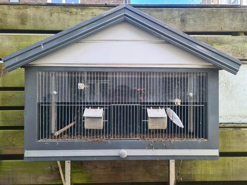 Vogelkooi, Dieren en Toebehoren, Vogels | Hokken en Kooien, Ophalen