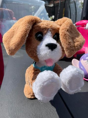 Mooie speelgoed hond te koop beschikbaar voor biedingen