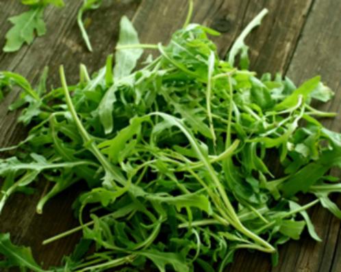 Rucola Silvetta, Tuin en Terras, Bloembollen en Zaden, Zaad, Voorjaar, Volle zon, Ophalen of Verzenden