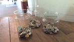 3 glazen vazen gevuld met schelpen, Huis en Inrichting, Woonaccessoires | Vazen, Overige kleuren, Ophalen of Verzenden, Minder dan 50 cm