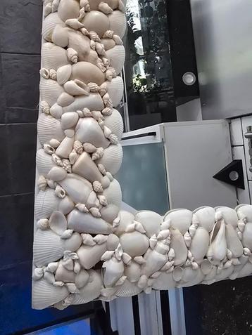 Mooie witte grote schelp spiegel  beschikbaar voor biedingen