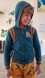 Borgvest Z8 116/122, Ophalen of Verzenden, Zo goed als nieuw, Trui of Vest